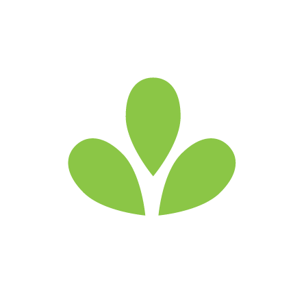 Natural Moringa Tea